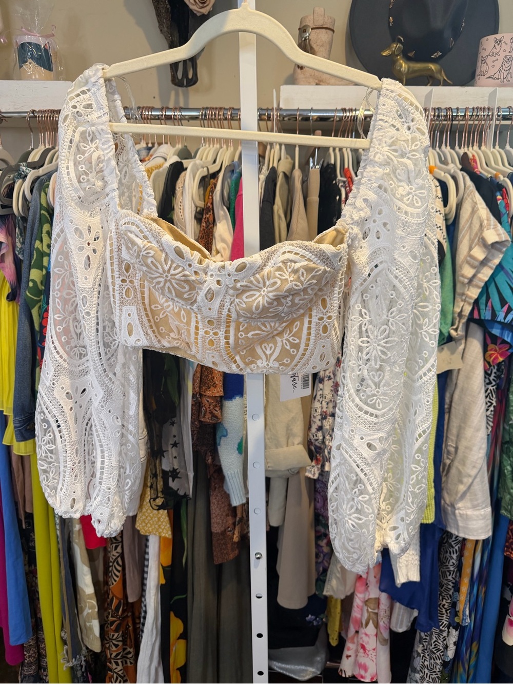 NWT 12th Tribe Cecilia Eyelet Crop Top - Picture 6 of 11